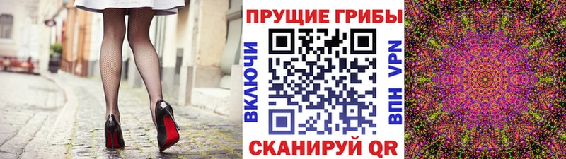 Галлюциногенные грибы Psilocybe  omg онион  Купино 